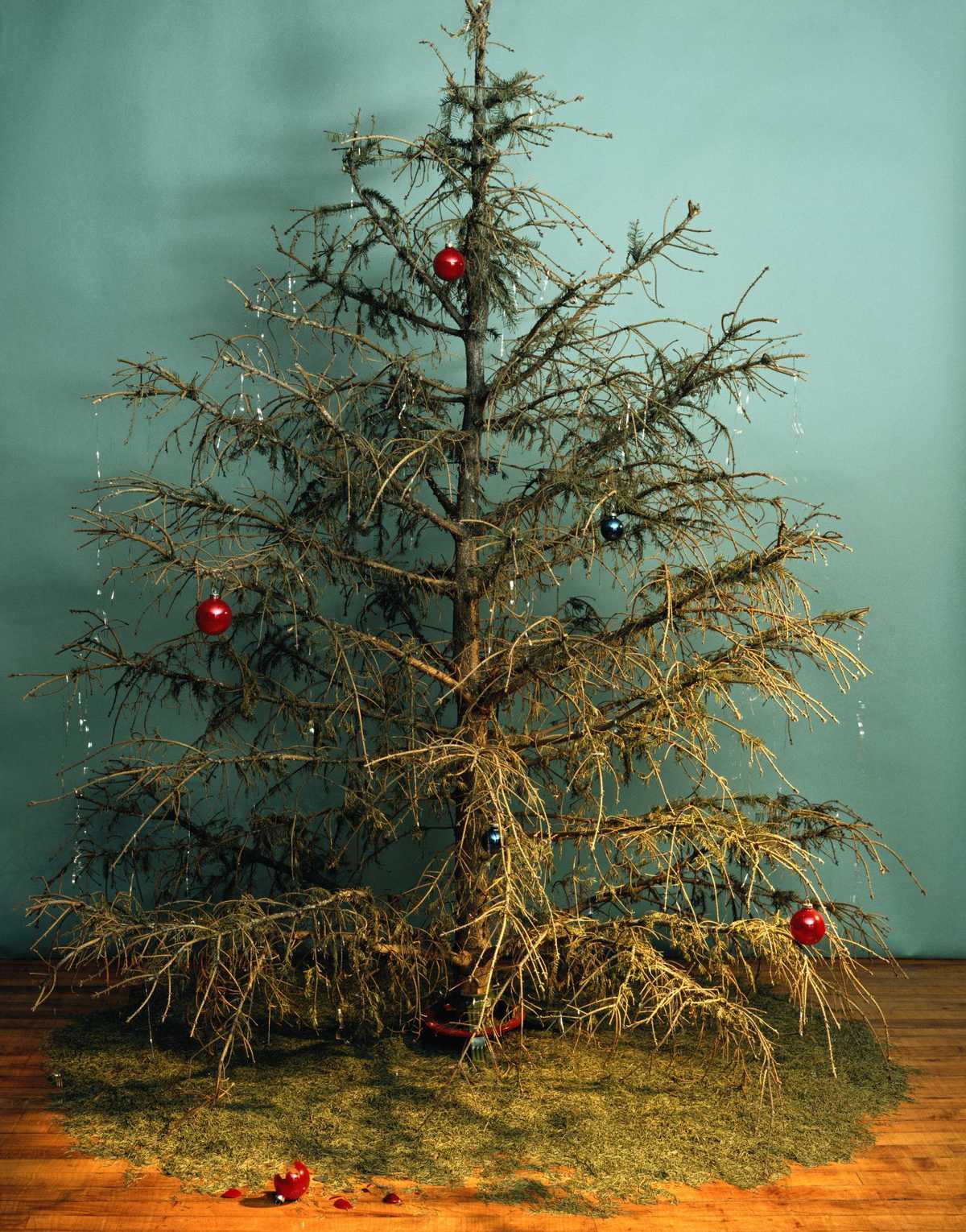 When your Christmas tree dies, make sure to dispose of it properly