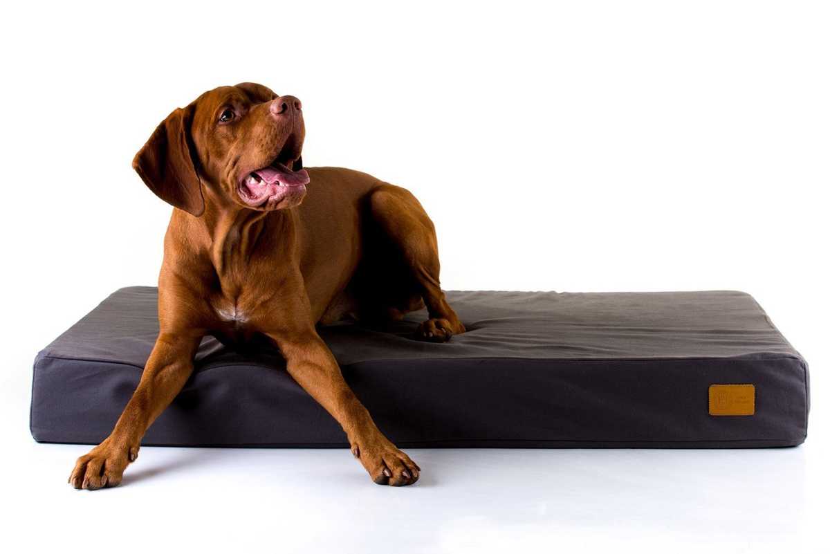 The Hixx Classic Orthopedic Dog Bed is made from Natural Organic Latex